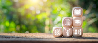 © Satori Studio/stock.adobe.com