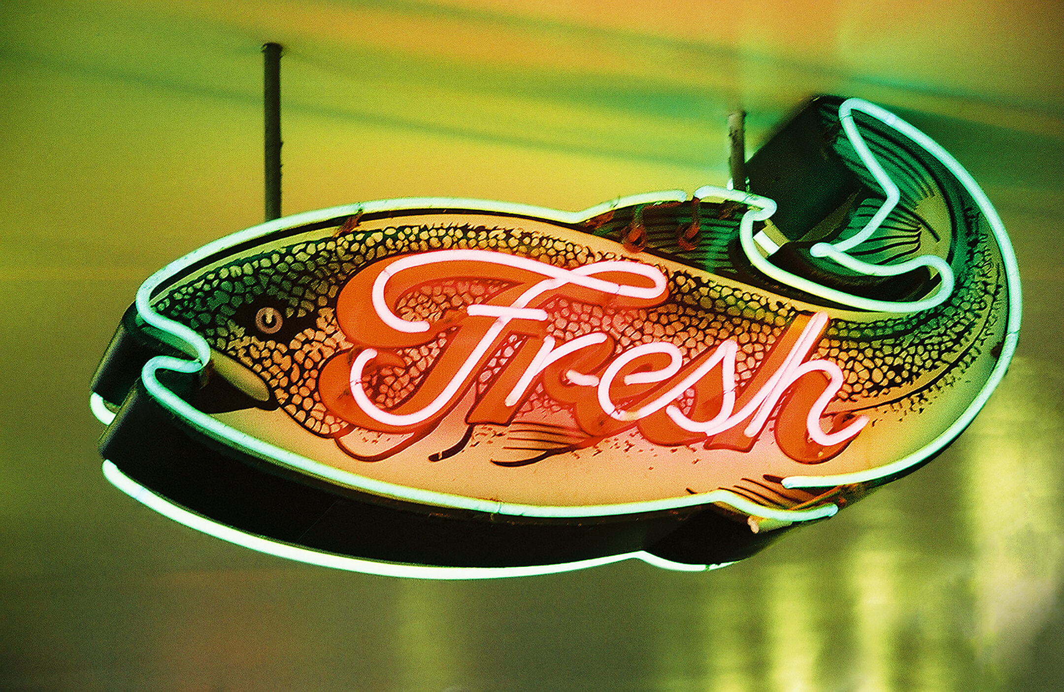 Das Bild zeigt ein leuchtendes Neon-Schild in Form eines Fisches. Darauf steht das Wort „Fresh“ in auffälliger Schrift.